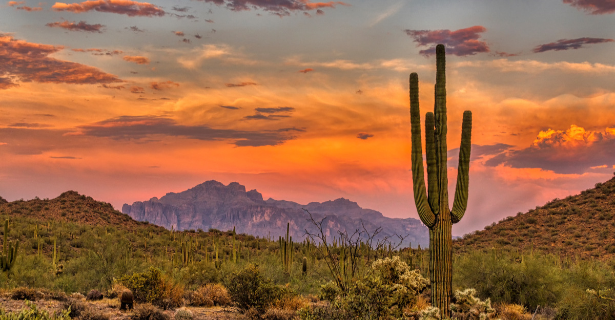 View of mountain range, desert, and cactus in Arizona.