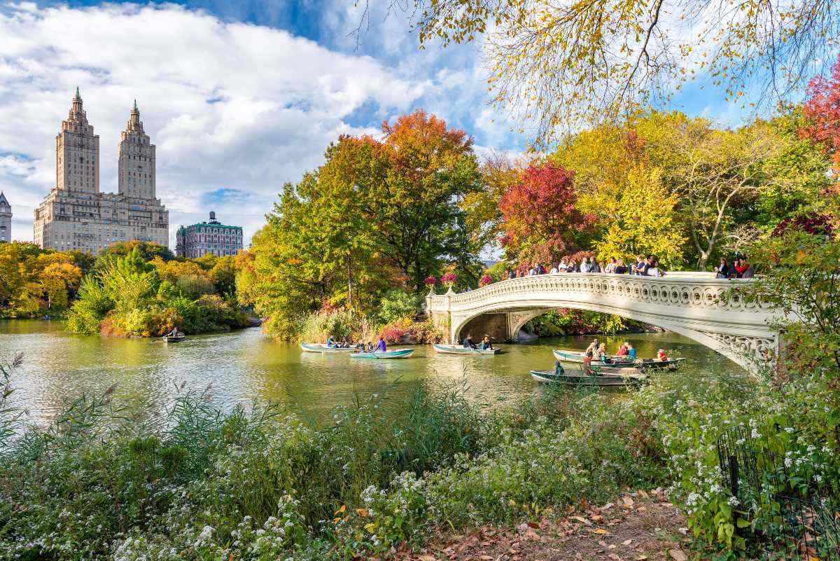 View of bridge and river in Central Park New York
