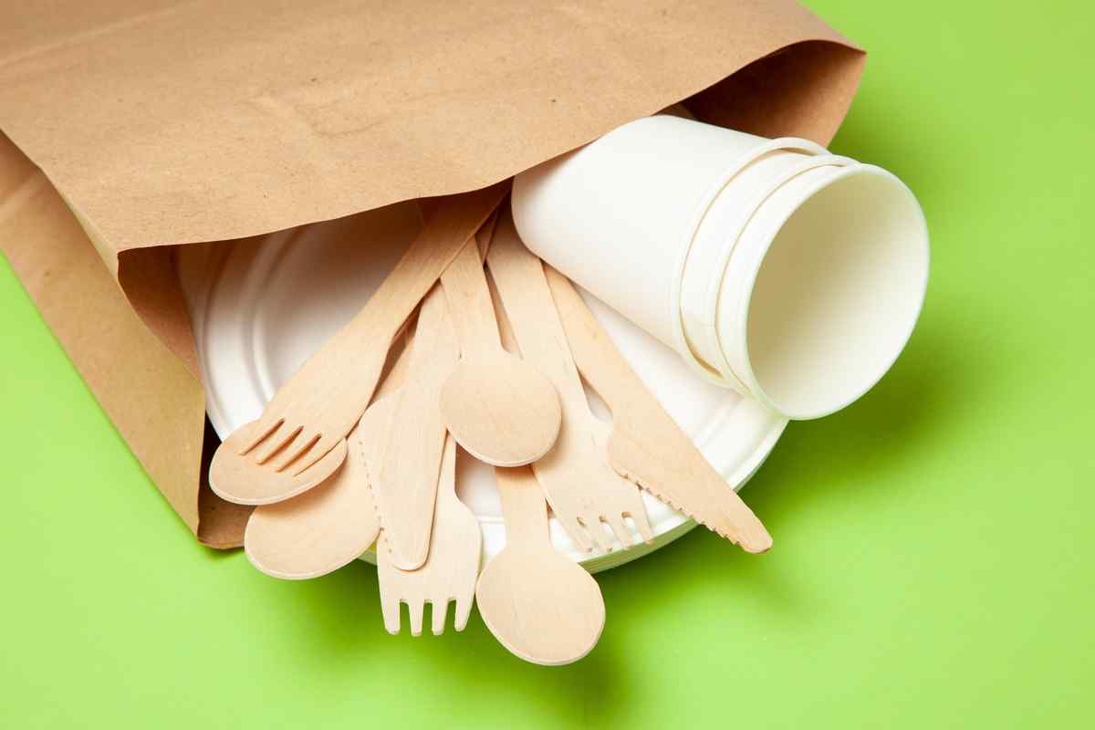 Paper plate and plastic cutlery on top of a green background.