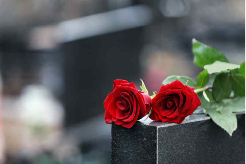 Roses on a grave.