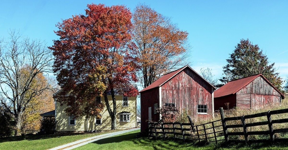 Barn next to a yellow house