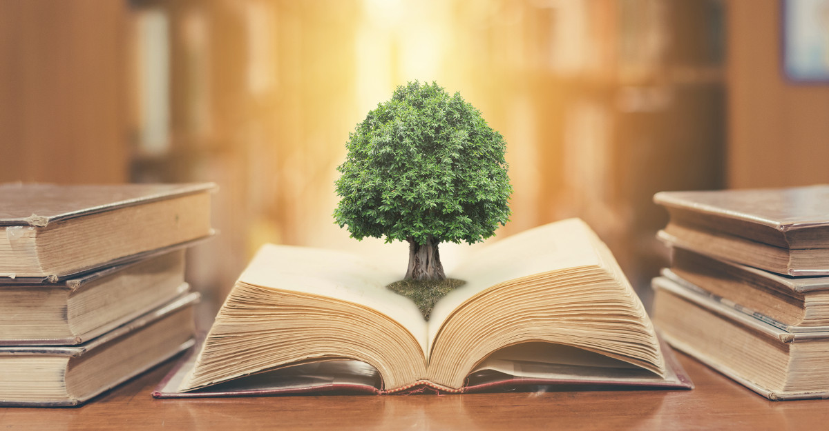 Tree growing out of a book that is on a table with other books.